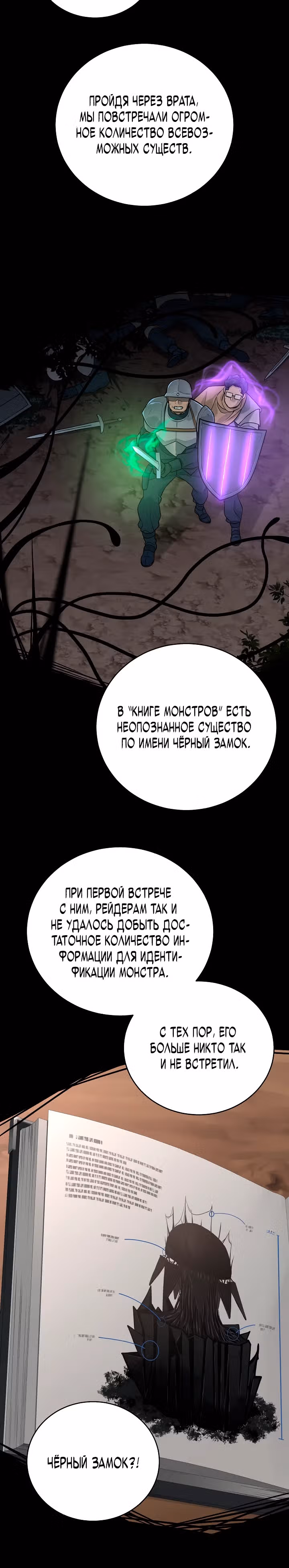 Рейдер — Том 1 · Глава 9, страница 20