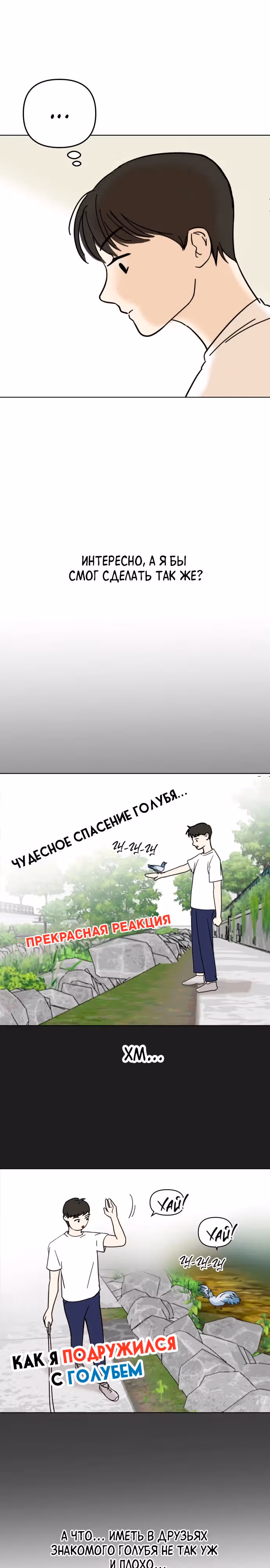 Голубь района Сонбук — Том 1 · Глава 2, страница 12