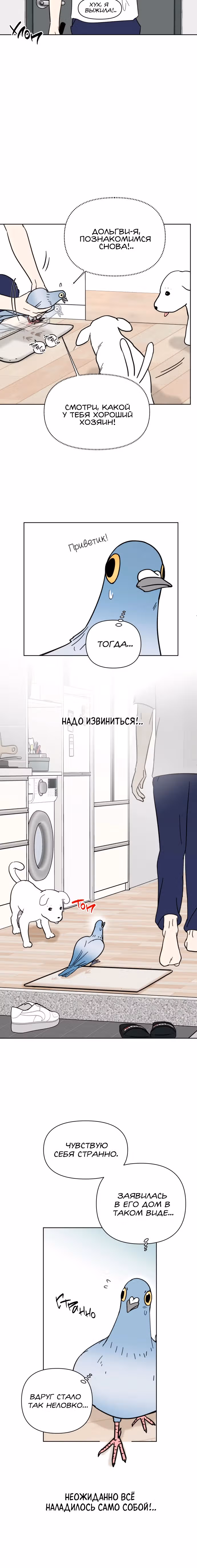 Голубь района Сонбук — Том 1 · Глава 3, страница 5