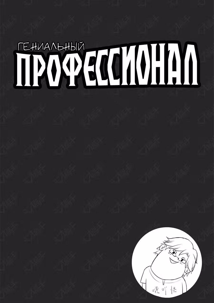 Гениальный профессионал — Том 1 · Глава 207, страница 14