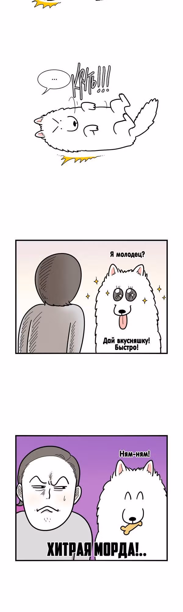 Невероятный хозяин — Том 1 · Глава 2, страница 3