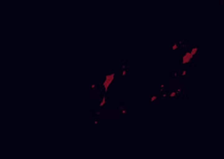 Тёмная ночь: Вальс экстаза — Том 1 · Глава 22, страница 41