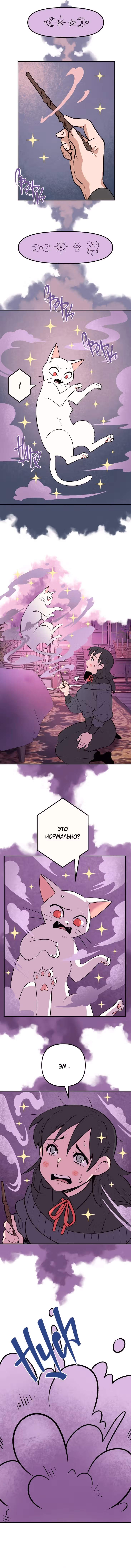 Моргана и Оз — Том 1 · Глава 11, страница 3