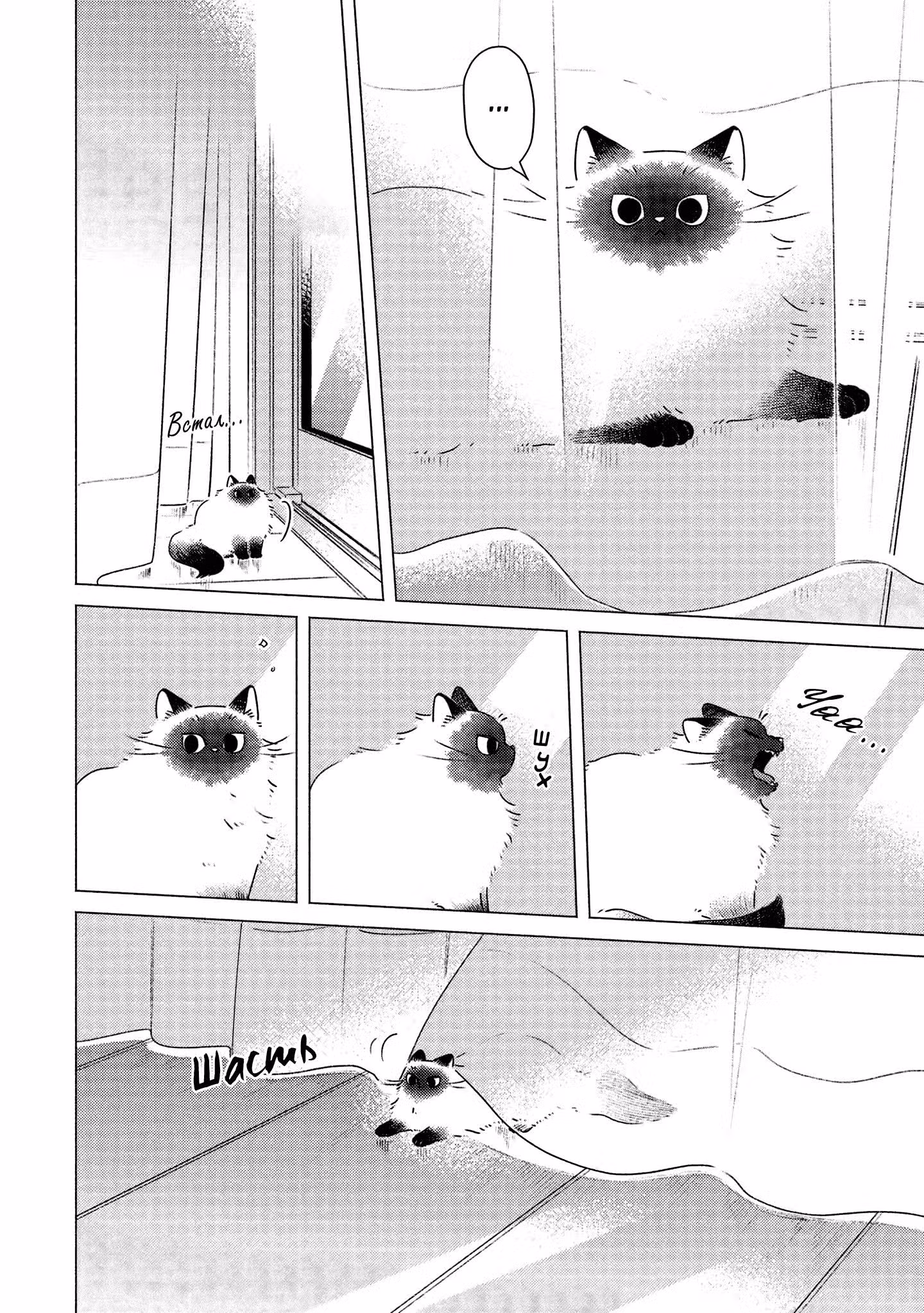 Сказочный Котик — Том 1 · Глава 3, страница 2