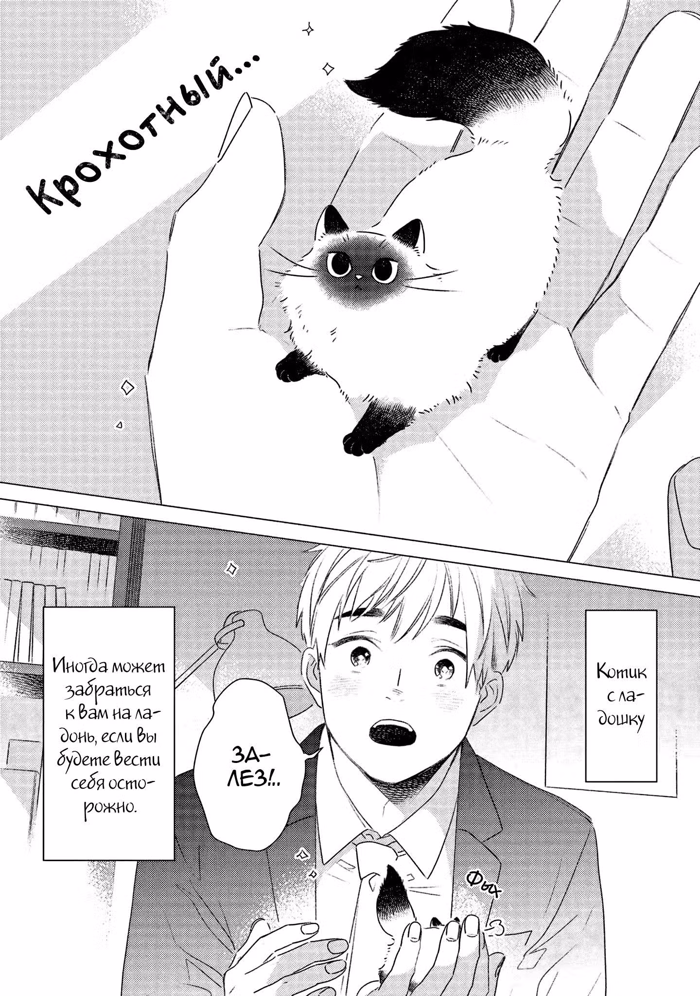 Сказочный Котик — Том 1 · Глава 4, страница 8