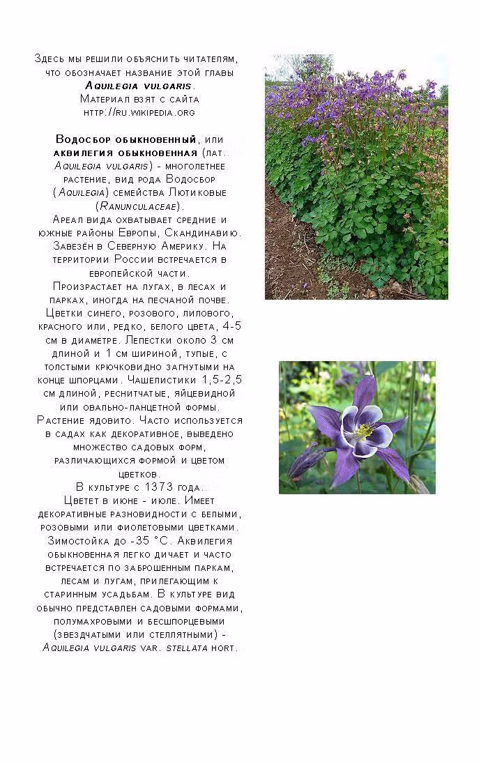 Поцелуй/Объятия — Том 1 · Глава 2, страница 46