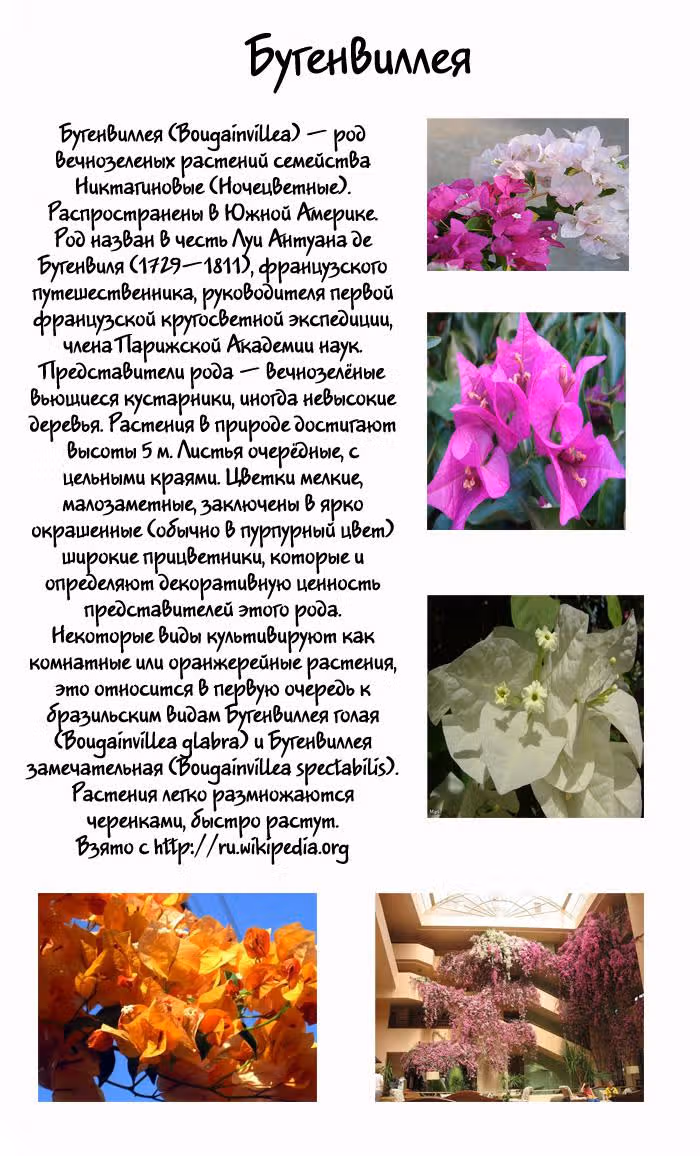 Поцелуй/Объятия — Том 1 · Глава 4, страница 2