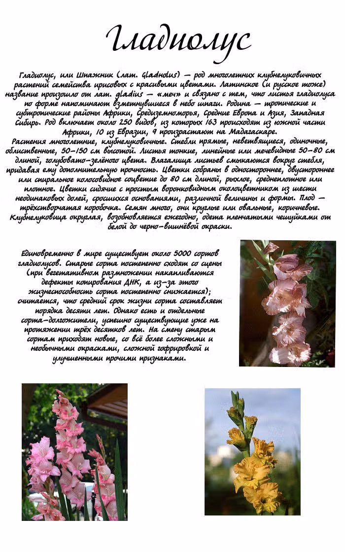 Поцелуй/Объятия — Том 2 · Глава 5, страница 43