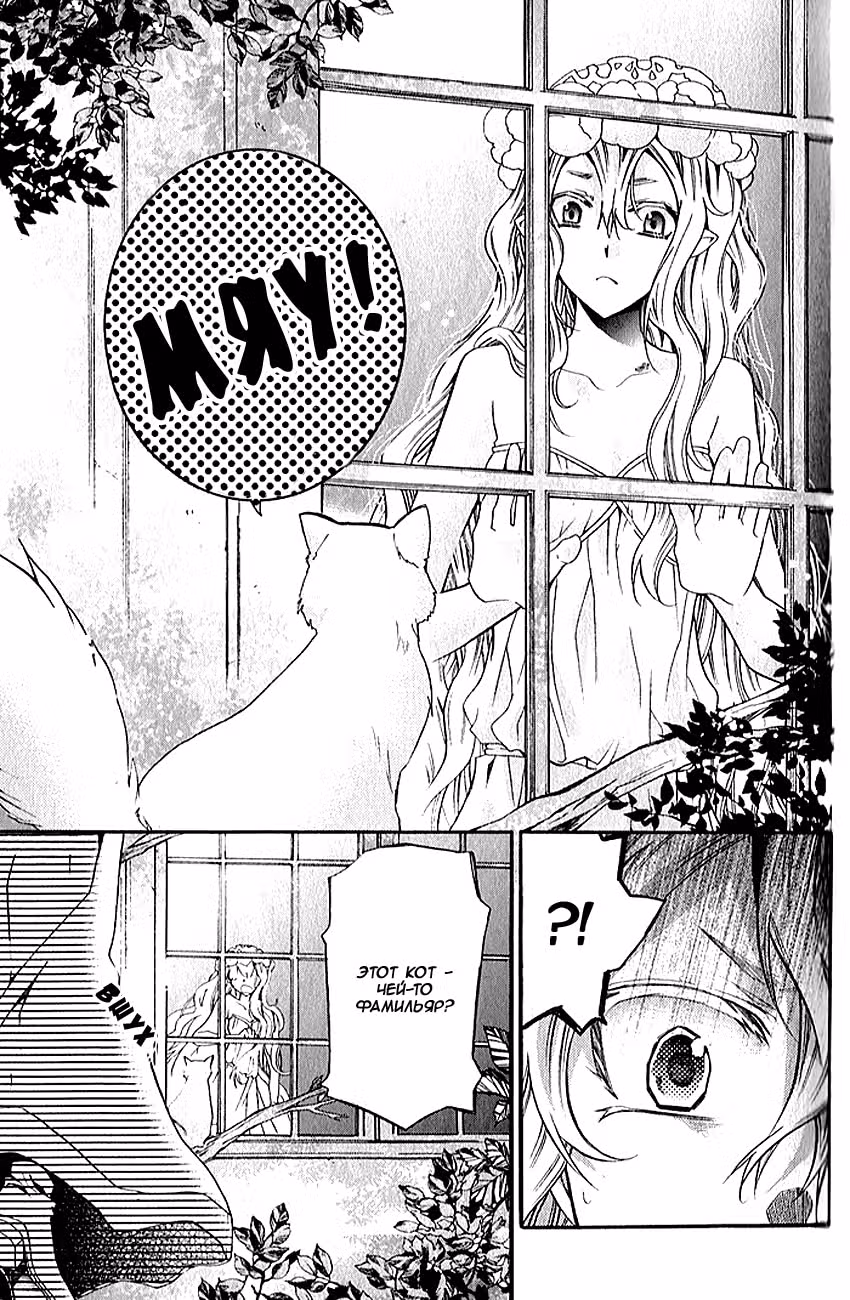 Кошка мастера — Том 5 · Глава 29, страница 6