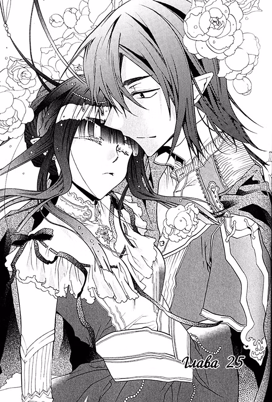 Кошка мастера — Том 4 · Глава 25, страница 2