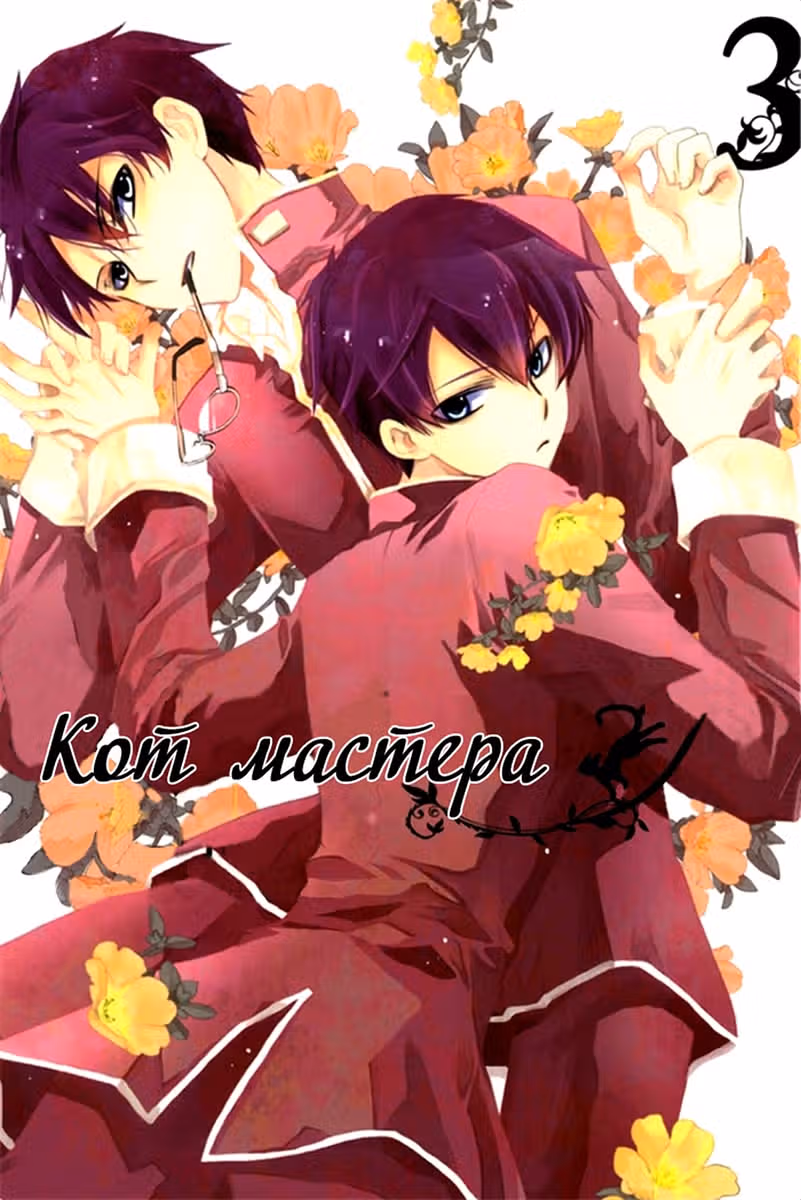 Кошка мастера — Том 3 · Глава 14, страница 2