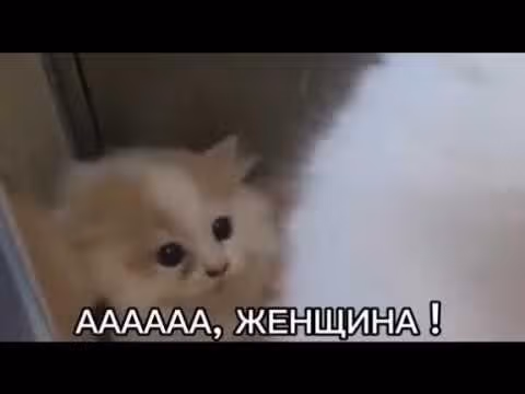 Великий герцог севера — Том 1 · Глава 34, страница 9