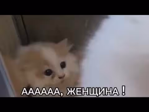 Великий герцог севера — Том 1 · Глава 34, страница 10