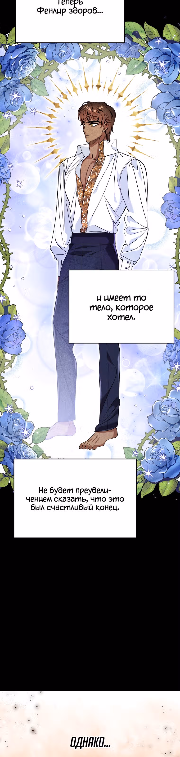 Любимый пленник великой герцогини — Том 1 · Глава 30, страница 11