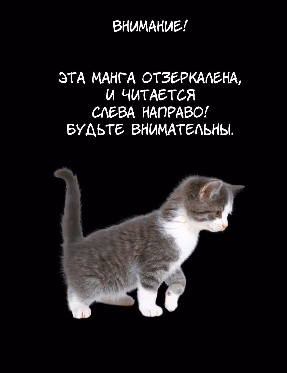 Вперед! Бюро кибернетических исследований — Том 1 · Глава 2, страница 2