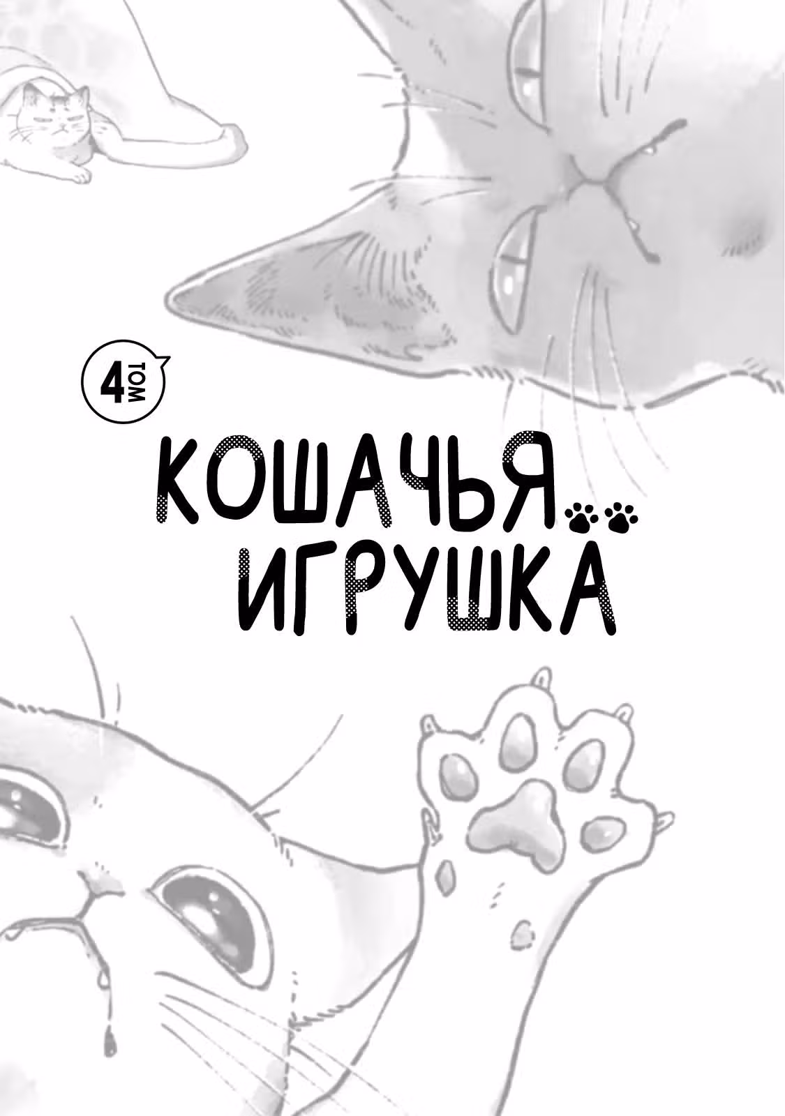 Кошачья игрушка — Том 4 · Глава 61, страница 4