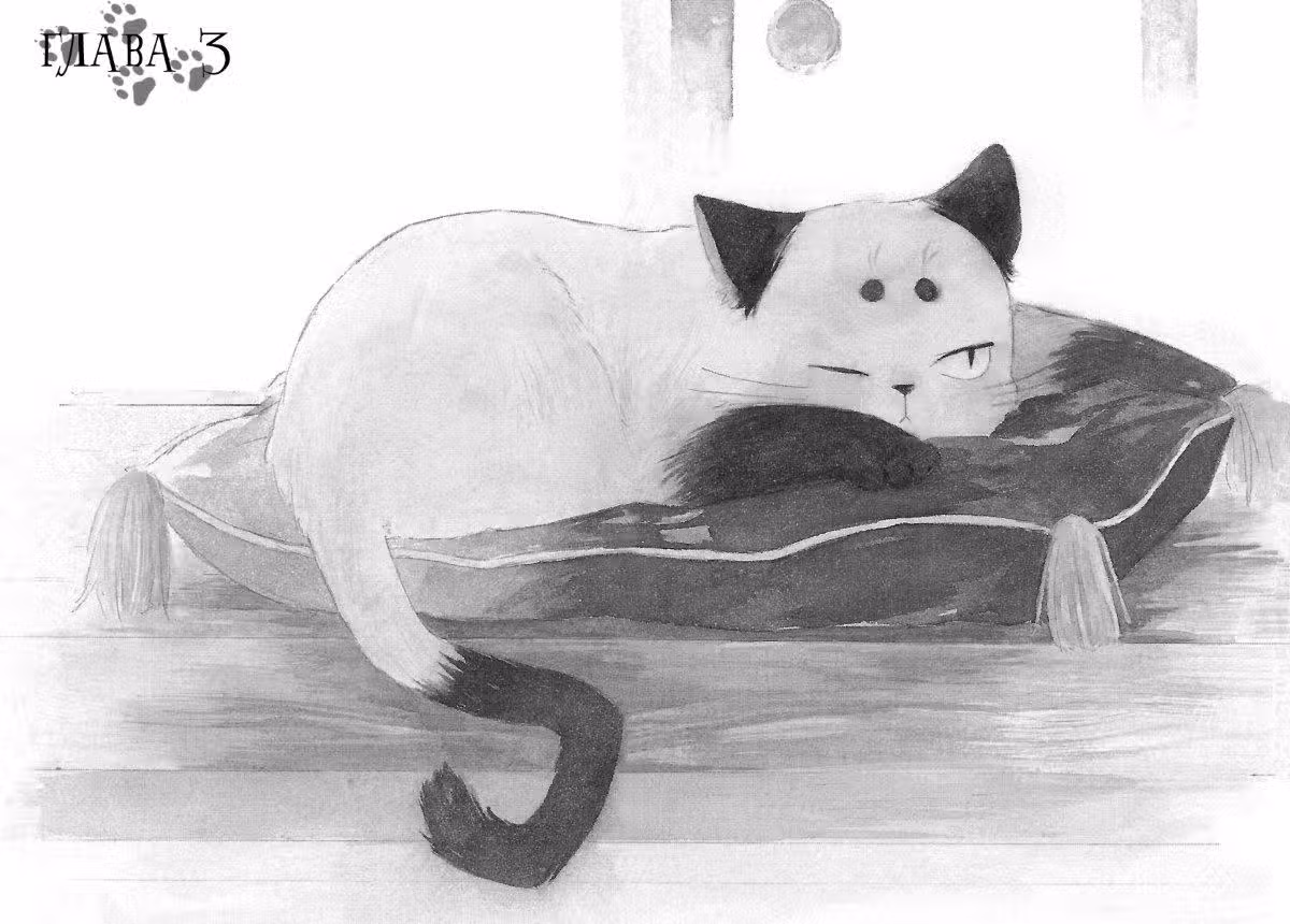 Кот из антикварной лавки — Том 1 · Глава 3, страница 3