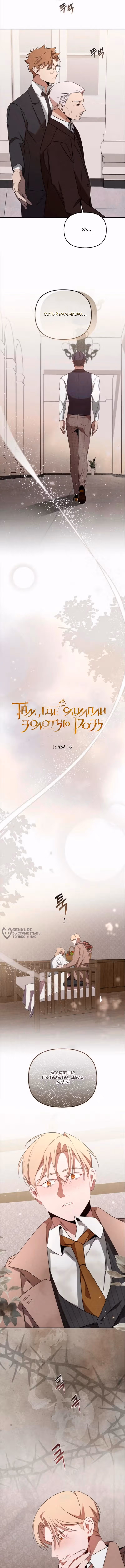 На том месте, где сломалась роза — Том 1 · Глава 18, страница 6