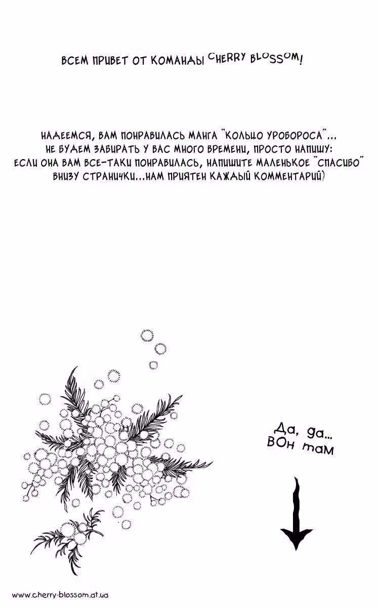Кольцо Уробороса — Том 2 · Глава 12, страница 32