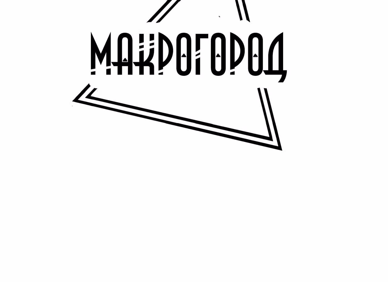 Макрогород — Том 1 · Глава 9, страница 3