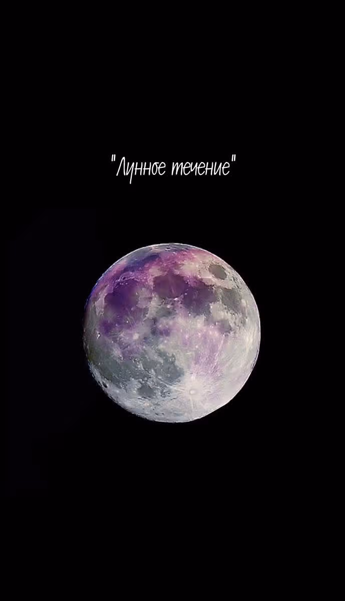 Волчий Замок — Том 1 · Глава 9, страница 2