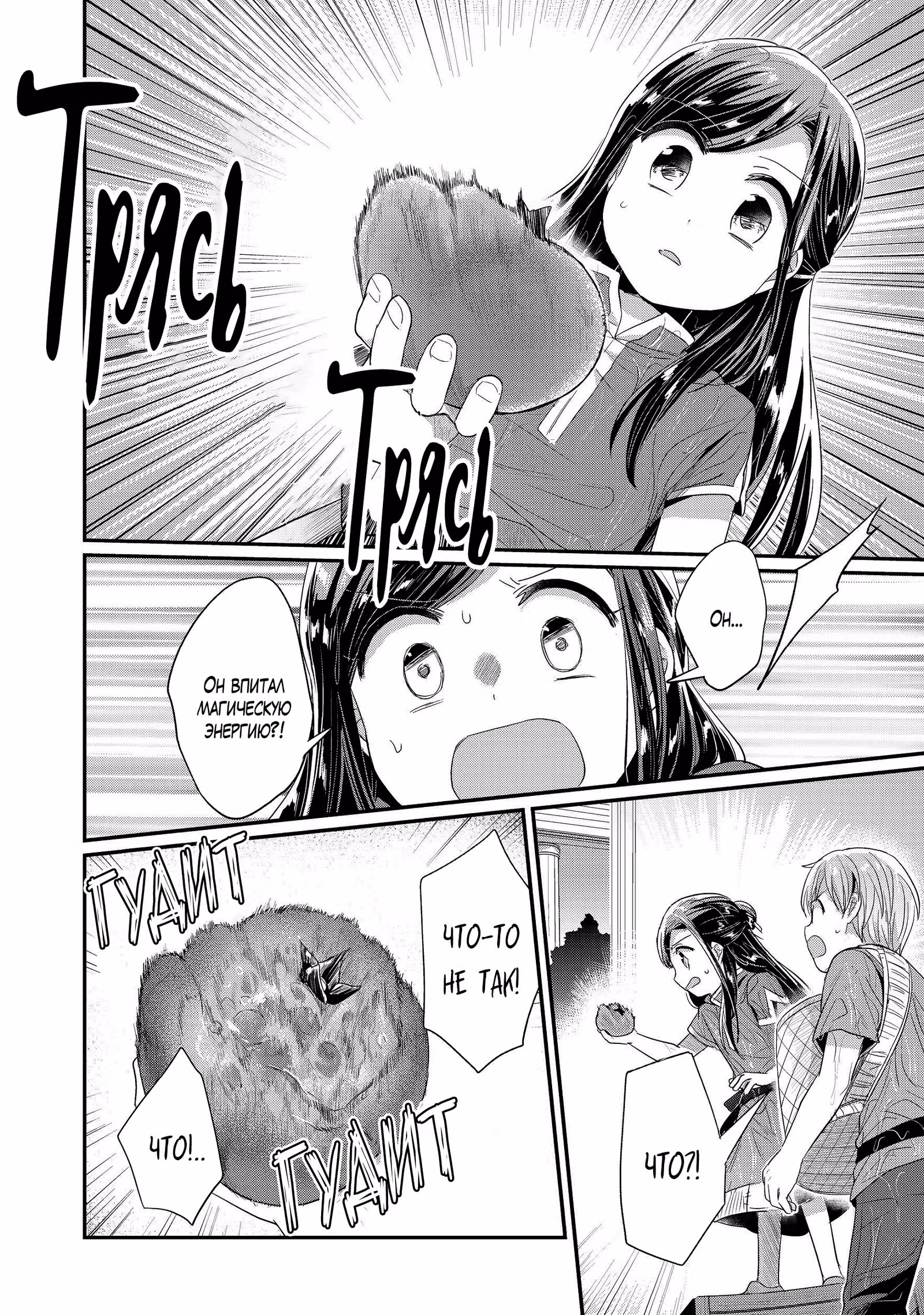 Власть книжного червя: часть вторая — Том 3 · Глава 15, страница 17