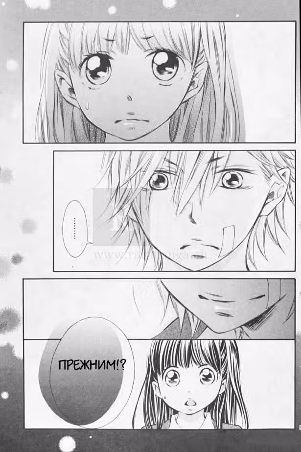Как приручить зверя — Том 1 · Глава 3, страница 13