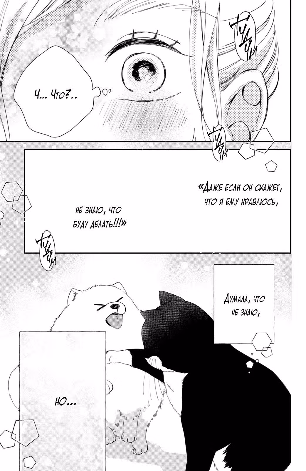 Кот и поцелуй — Том 3 · Глава 9, страница 41
