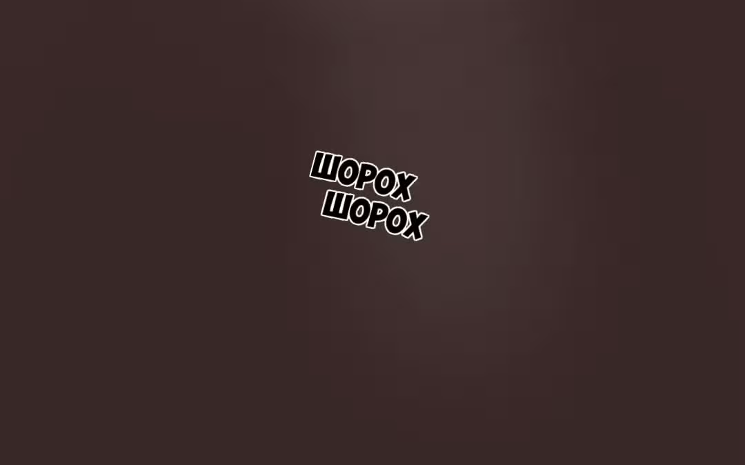 Сольхва Эллин — Том 1 · Глава 9, страница 11