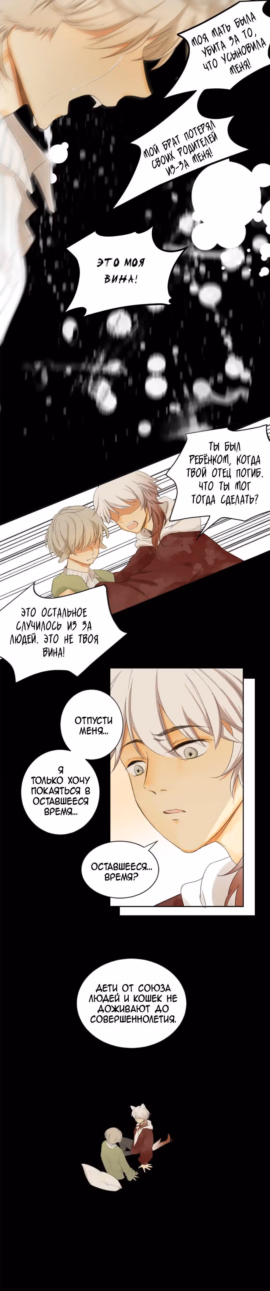 Мир, управляемый котами — Том 1 · Глава 58, страница 15