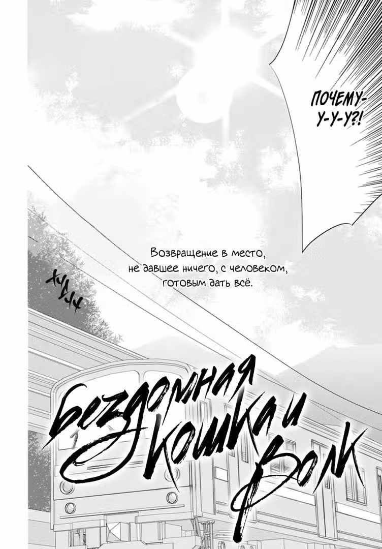 Бездомная кошка и волк — Том 3 · Глава 10, страница 2