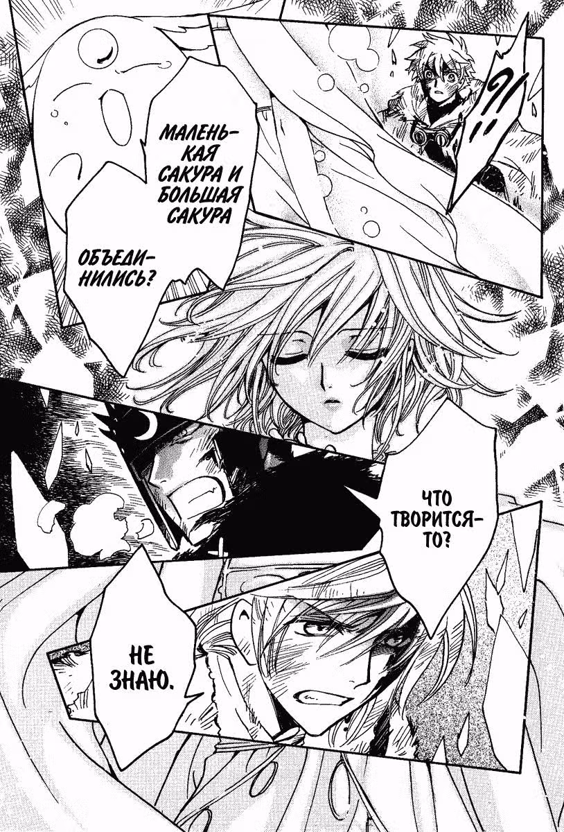 Хроника крыльев — Том 27 · Глава 215, страница 4