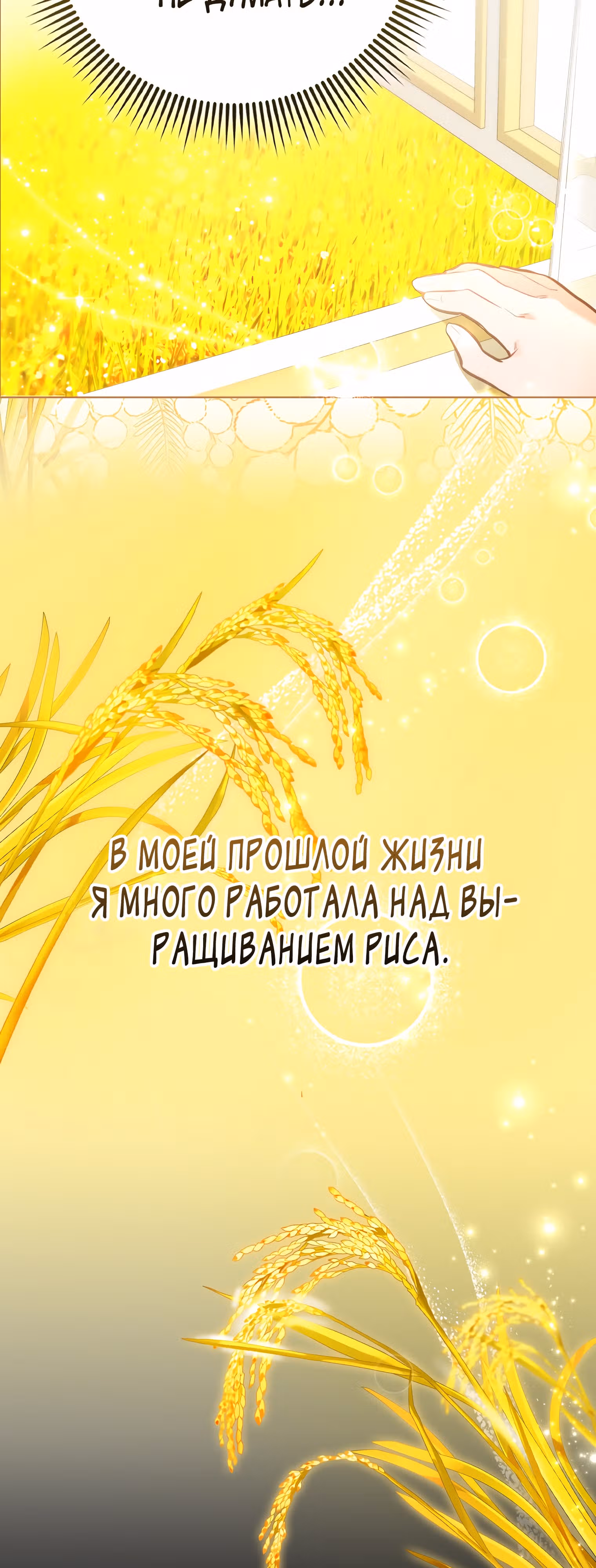 Особенный метод культивирования риса злодейки-герцогини — Том 1 · Глава 3, страница 4