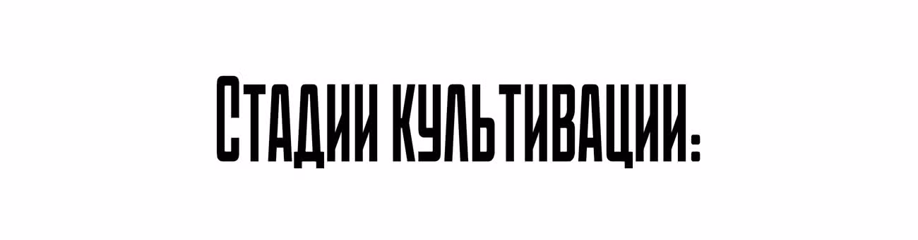 Король десяти тысяч фаз — Том 1 · Глава 17, страница 58