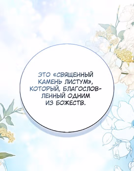 Я фальшивая Святая, но Боги одержимы мной — Том 1 · Глава 65, страница 47