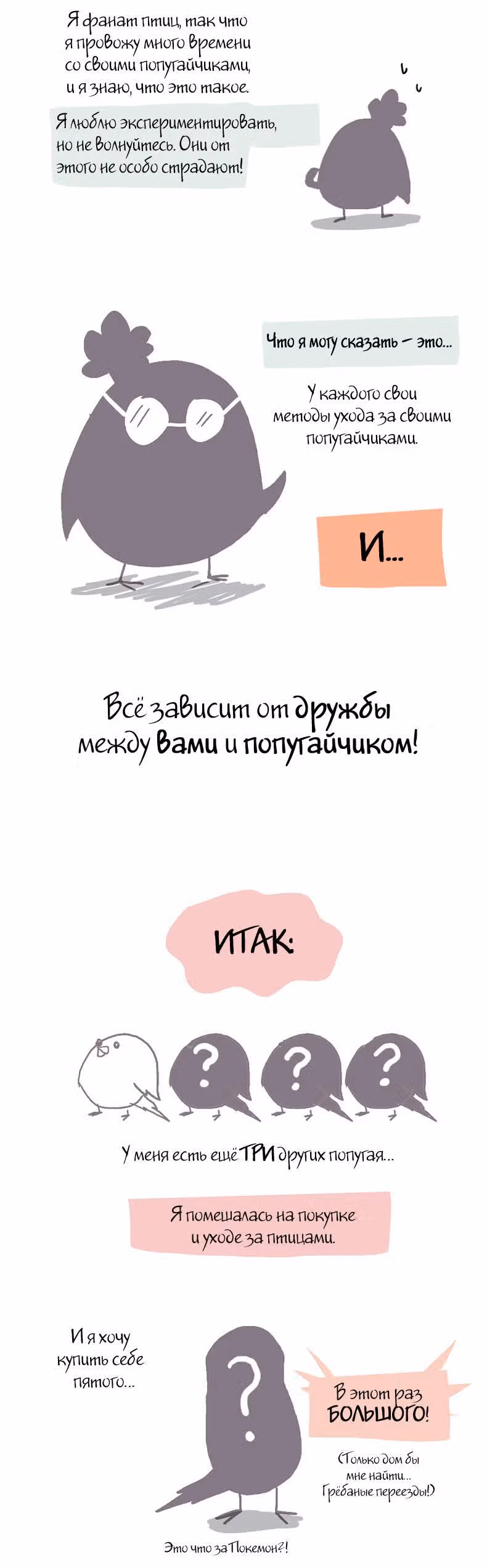 Жизнь волнистого попугайчика! — Том 1 · Глава 5, страница 5