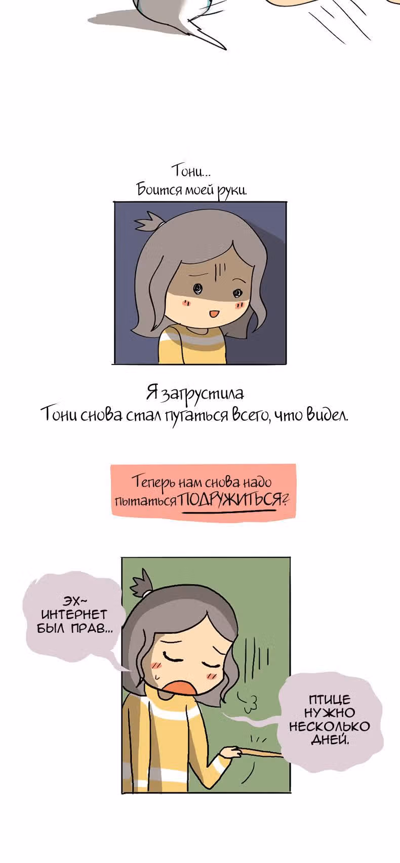 Жизнь волнистого попугайчика! — Том 1 · Глава 6, страница 2