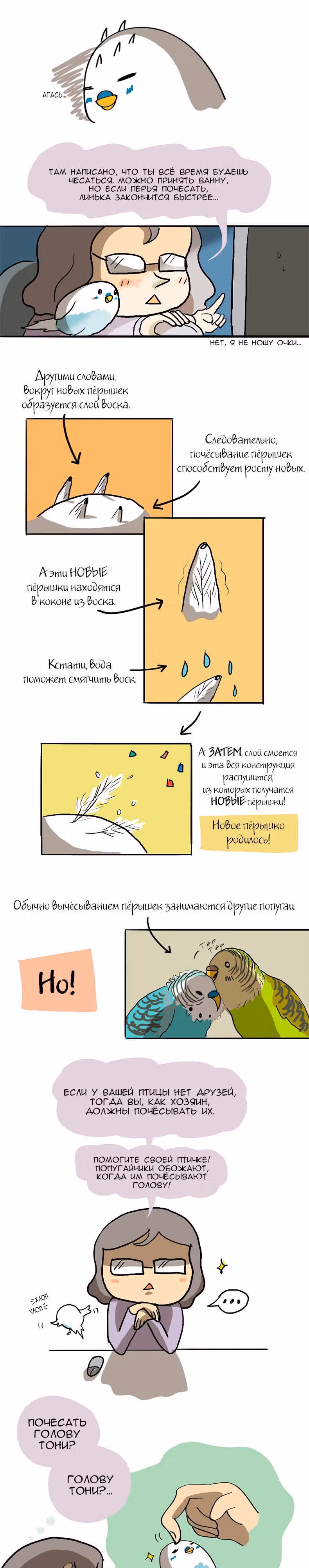 Жизнь волнистого попугайчика! — Том 1 · Глава 7, страница 2