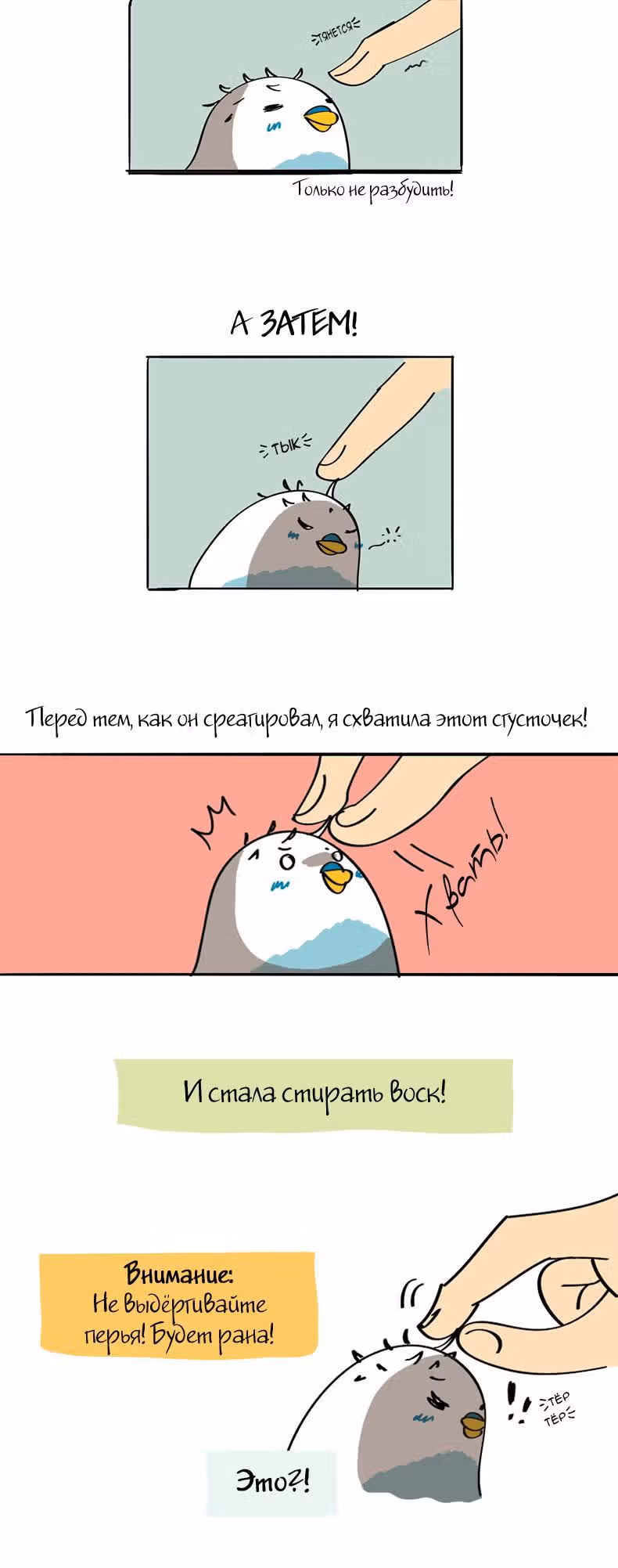 Жизнь волнистого попугайчика! — Том 1 · Глава 9, страница 2