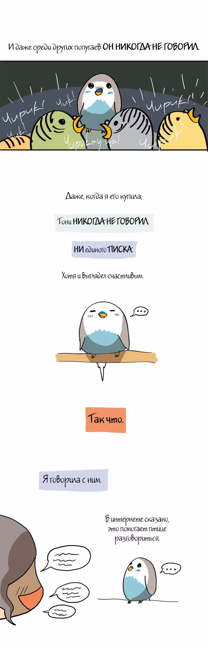 Жизнь волнистого попугайчика! — Том 1 · Глава 10, страница 2