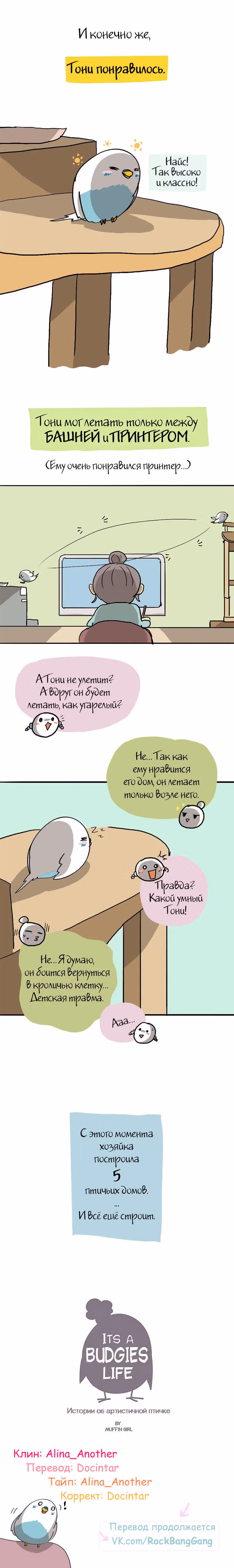 Жизнь волнистого попугайчика! — Том 1 · Глава 14, страница 2