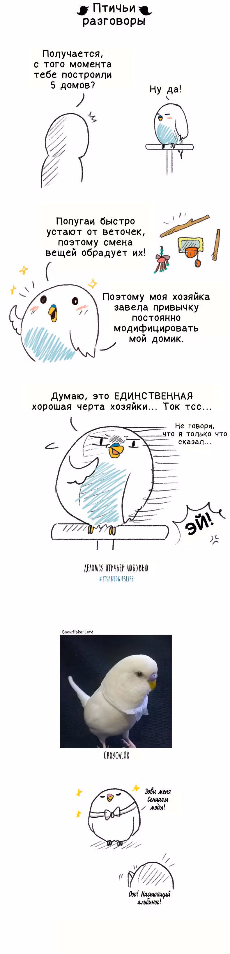 Жизнь волнистого попугайчика! — Том 1 · Глава 14, страница 3