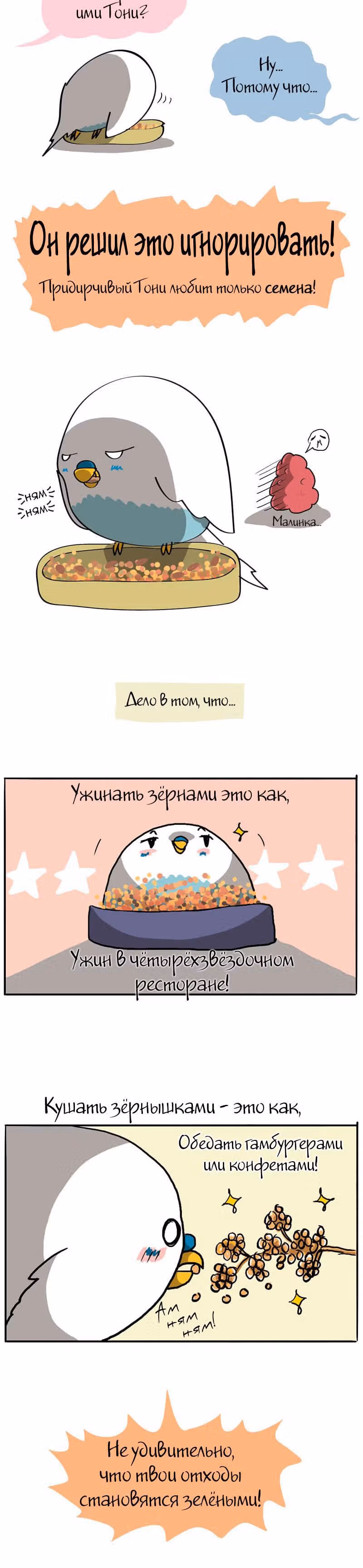 Жизнь волнистого попугайчика! — Том 1 · Глава 15, страница 2