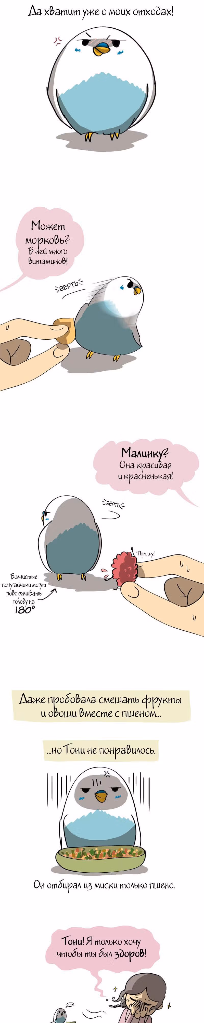 Жизнь волнистого попугайчика! — Том 1 · Глава 15, страница 3