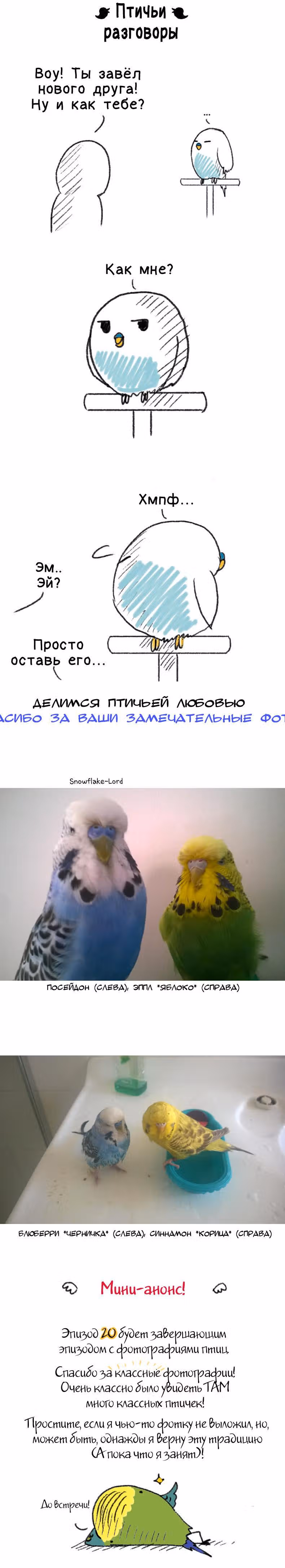 Жизнь волнистого попугайчика! — Том 1 · Глава 18, страница 7