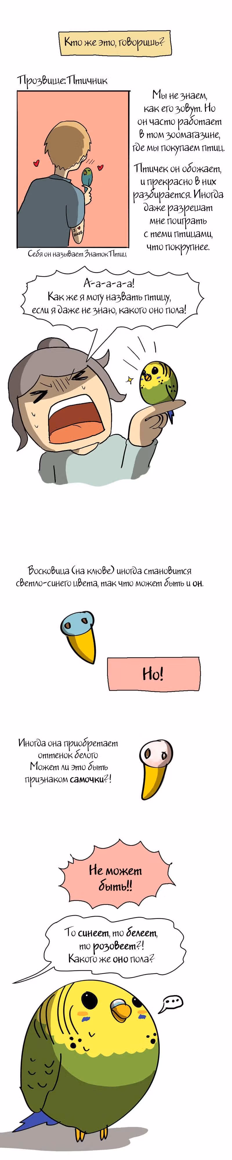 Жизнь волнистого попугайчика! — Том 1 · Глава 20, страница 3