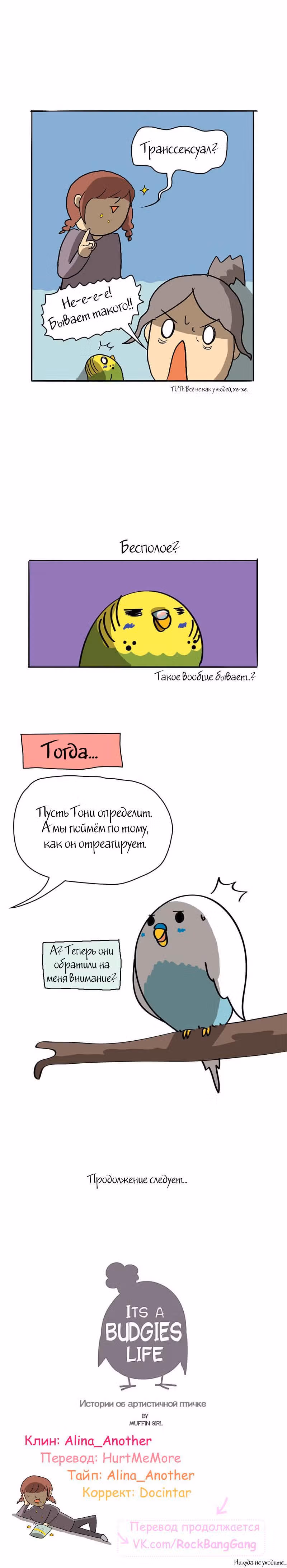 Жизнь волнистого попугайчика! — Том 1 · Глава 20, страница 4