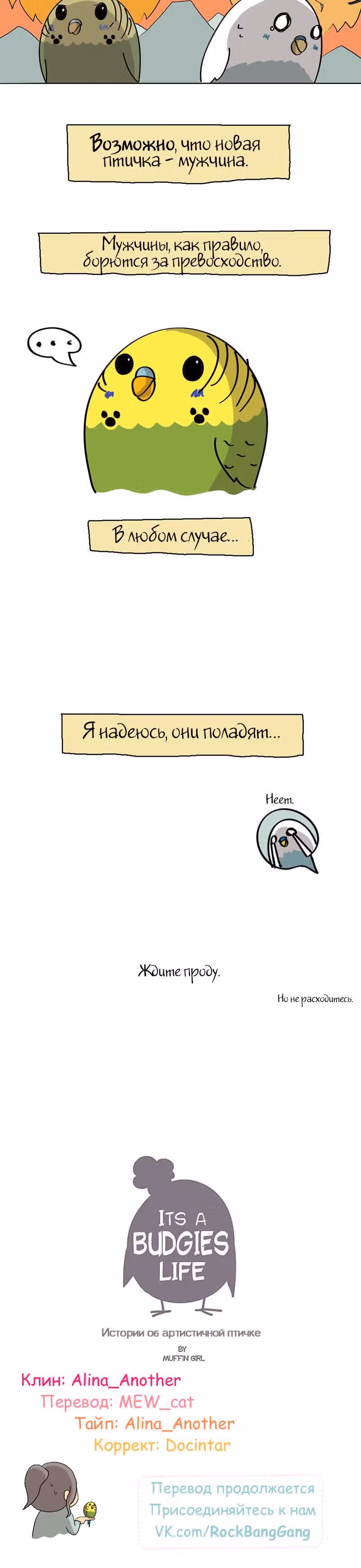 Жизнь волнистого попугайчика! — Том 1 · Глава 22, страница 3