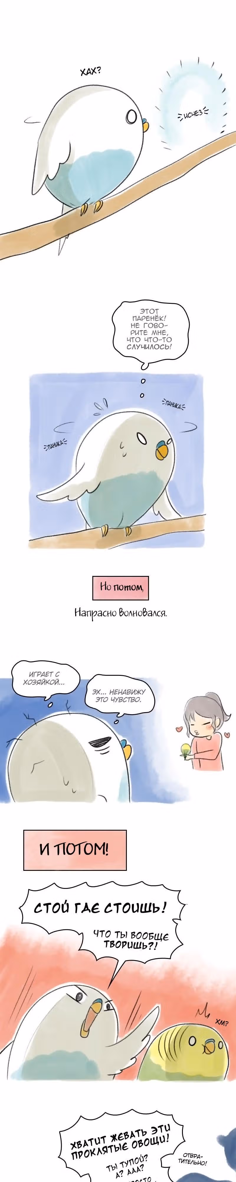 Жизнь волнистого попугайчика! — Том 1 · Глава 27, страница 3