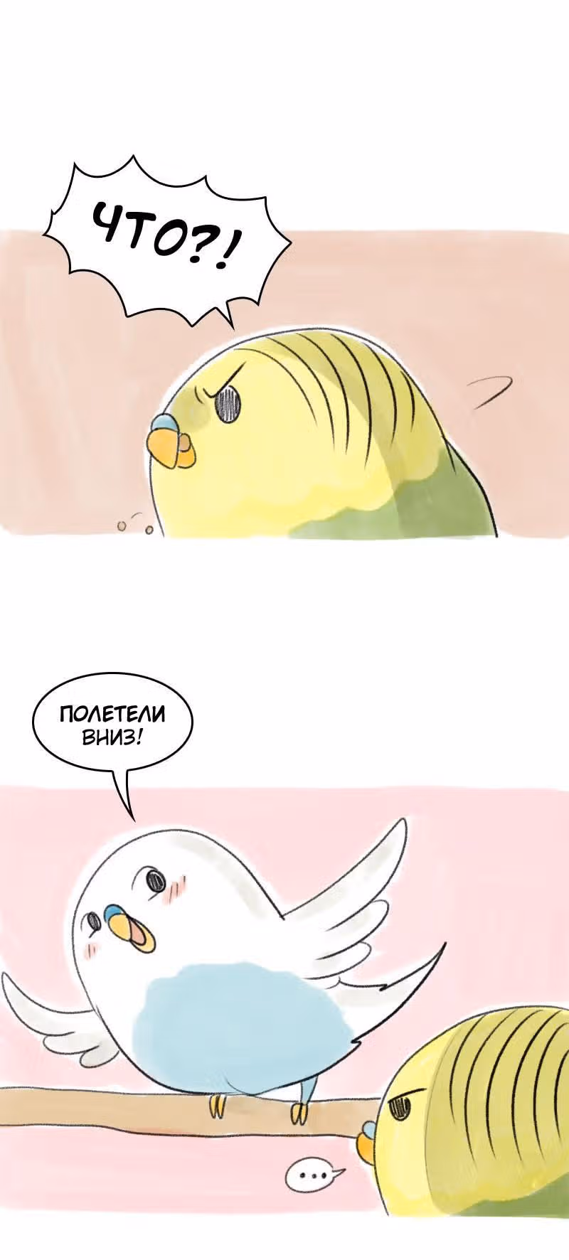 Жизнь волнистого попугайчика! — Том 1 · Глава 30, страница 2